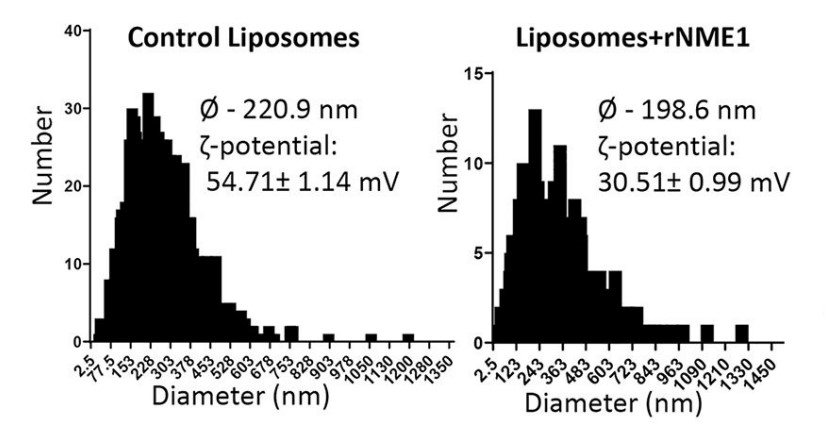Control (empty) liposomes and liposomes containing partially purified recombinant rNME1 were assessed.jpg
